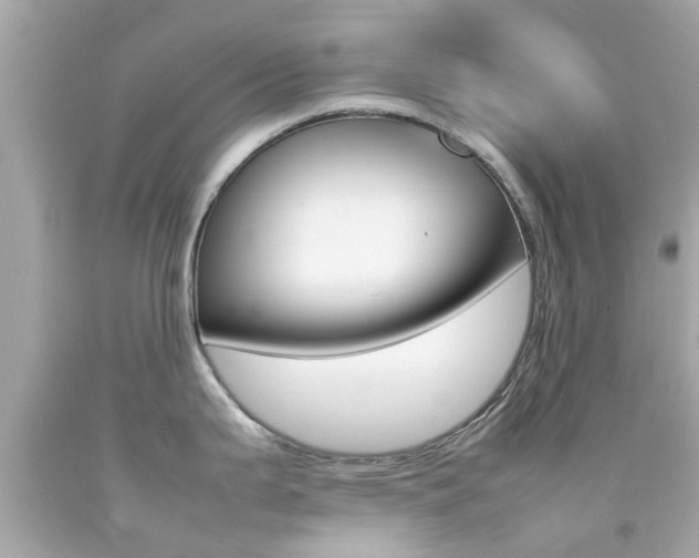 X0000092091199200709121119