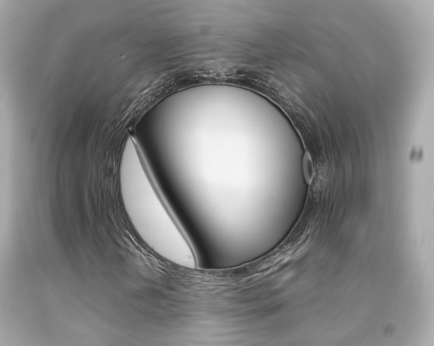 X0000092091202200709121119