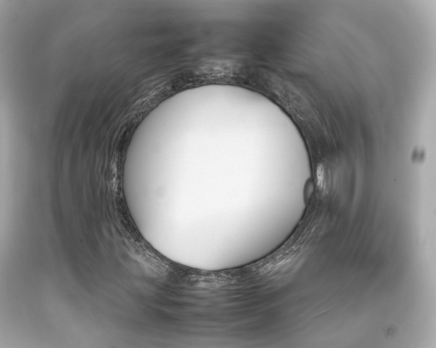 X0000092091203200709121119