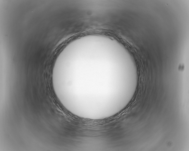 X0000092091206200709121119