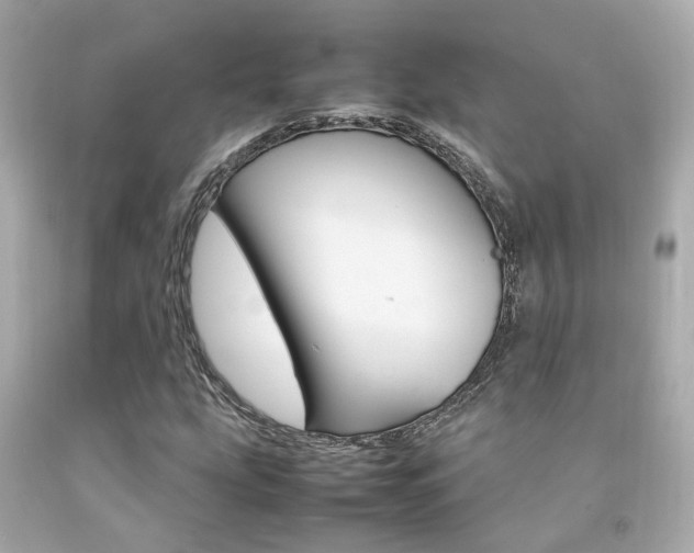 X0000092091207200709121119