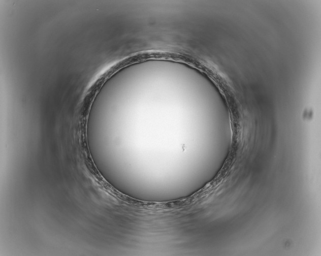 X0000092091208200709121119
