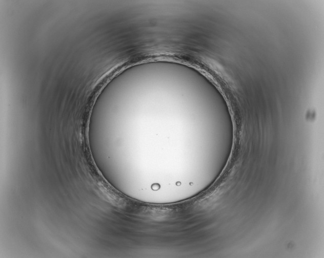 X0000092091209200709121119