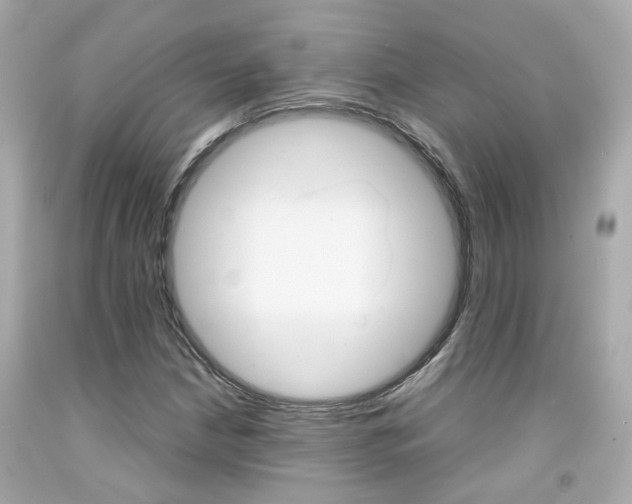 X0000092091210200709121119