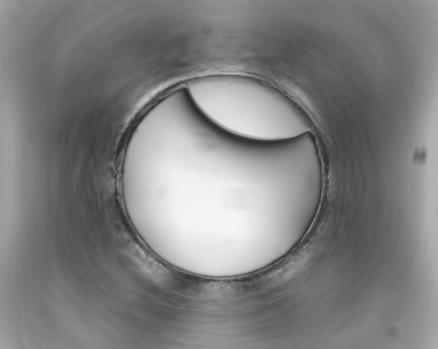 X0000092091212200709121119
