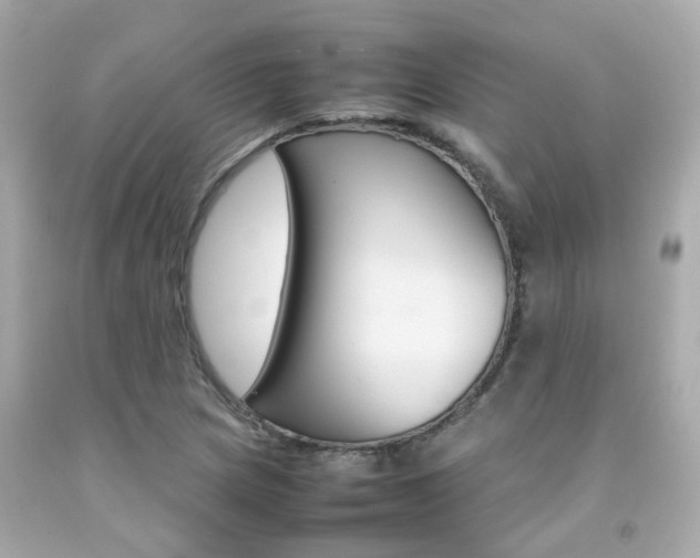 X0000092091217200709121119