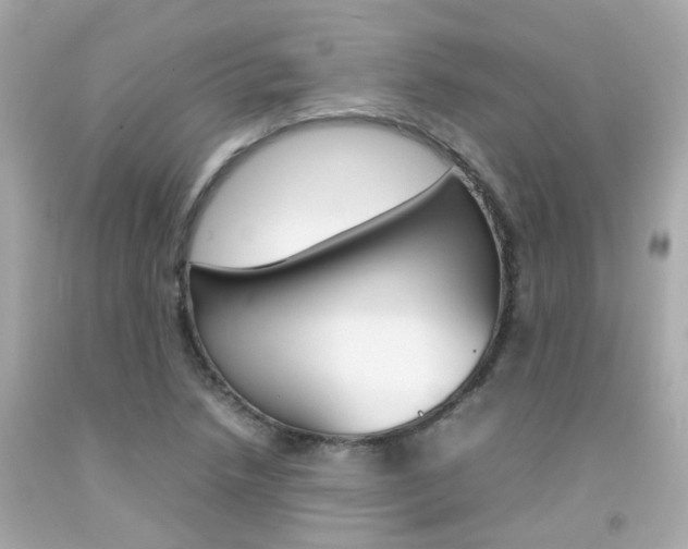 X0000092091218200709121119
