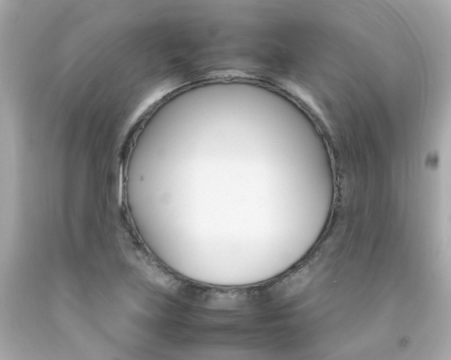 X0000092091219200709121119
