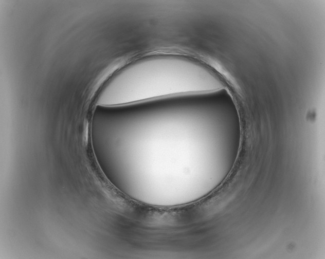 X0000092091221200709121119