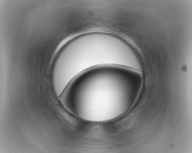 X0000092091222200709121119