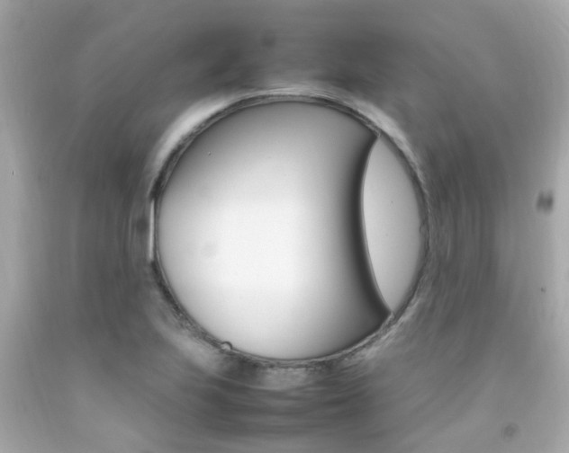 X0000092091223200709121119