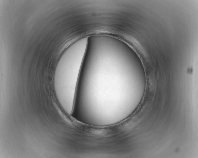 X0000092091225200709121119