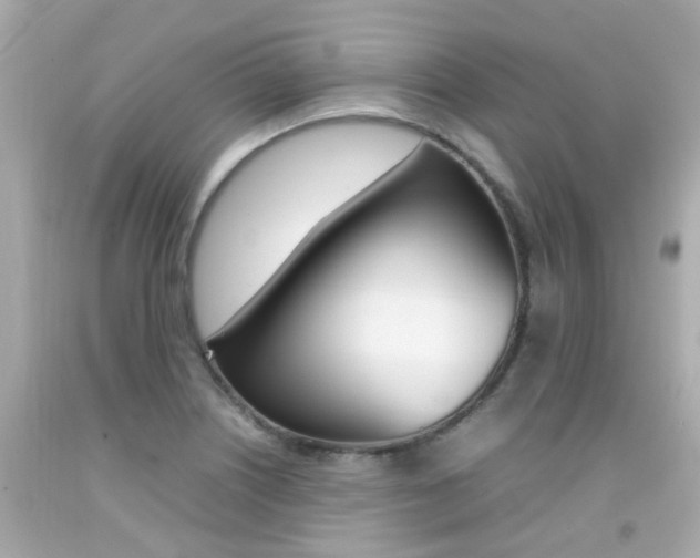X0000092091226200709121119