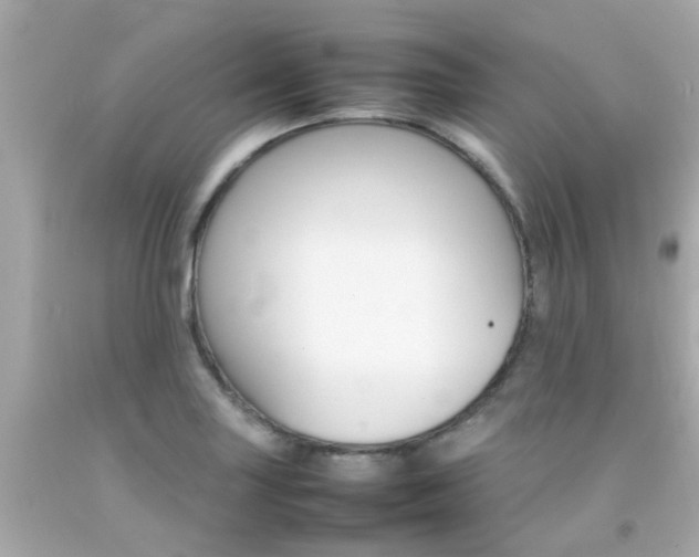 X0000092091227200709121119