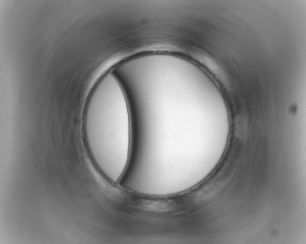 X0000092091229200709121119