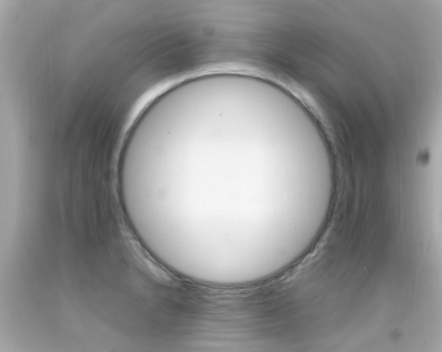 X0000092091230200709121119