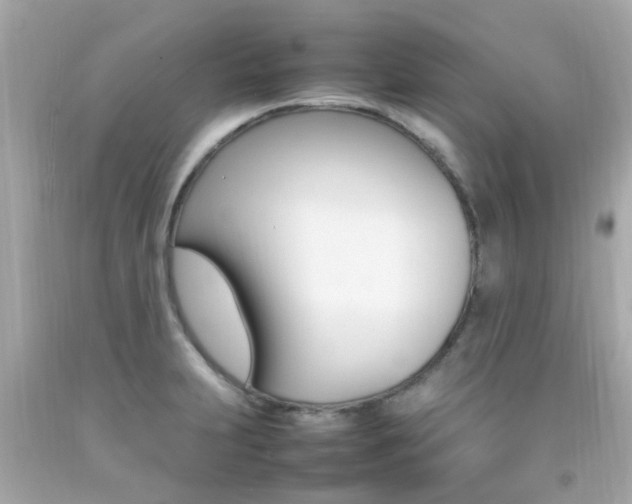 X0000092091231200709121119