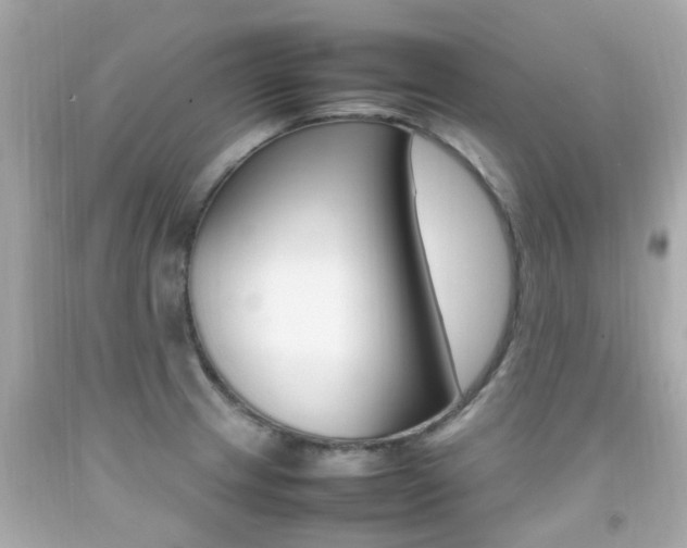 X0000092091233200709121119