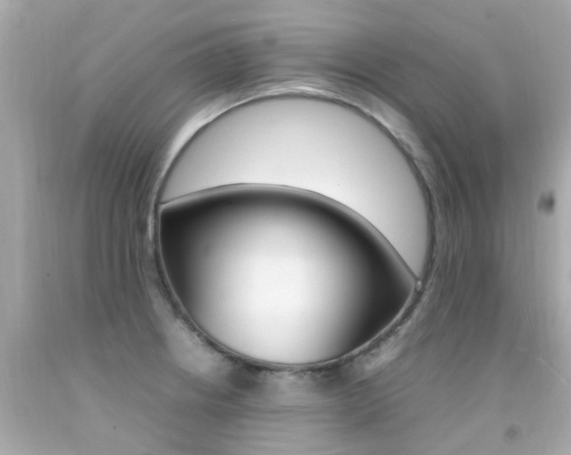 X0000092091234200709121119