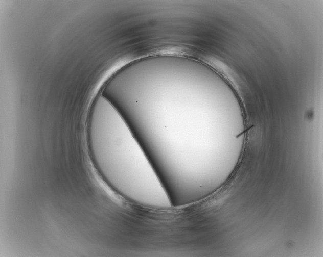 X0000092091235200709121119