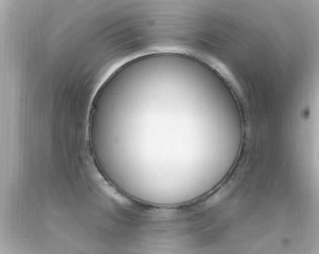 X0000092091236200709121119