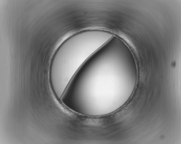 X0000092091237200709121119