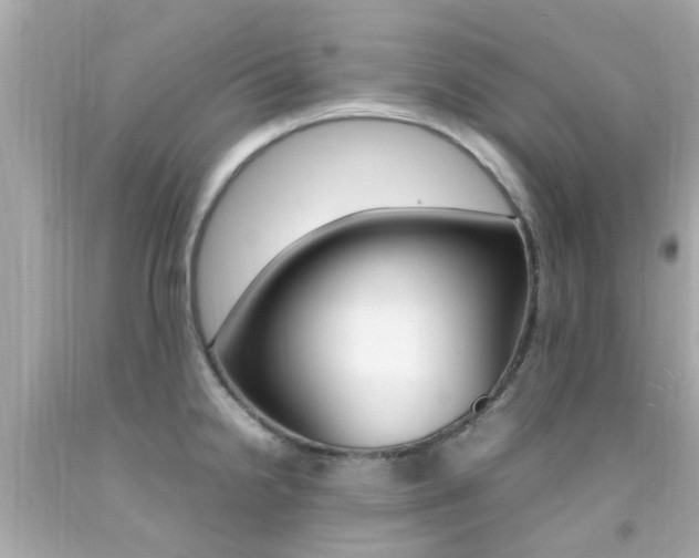 X0000092091238200709121119