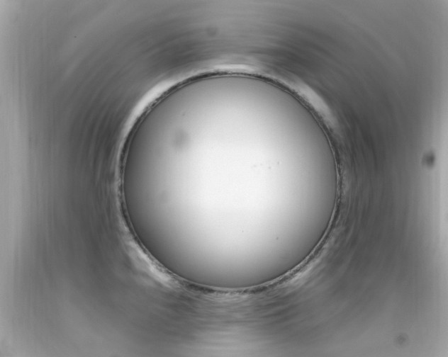 X0000092091240200709121119