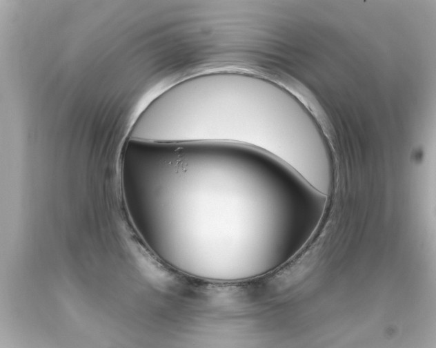 X0000092091242200709121119