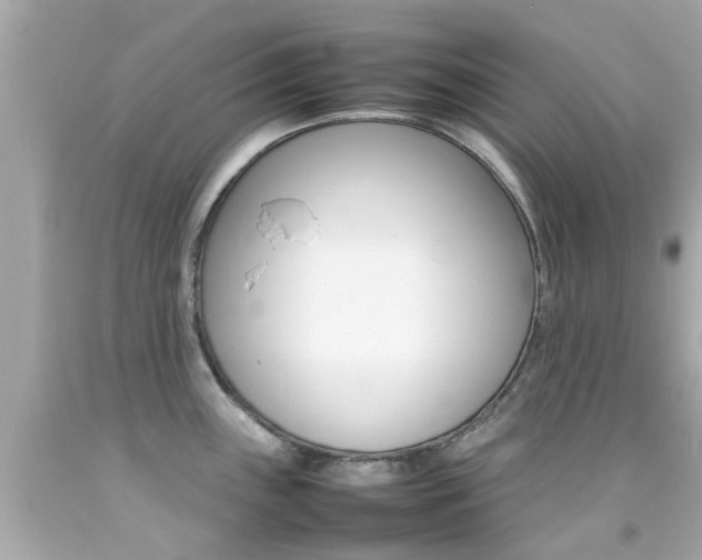 X0000092091243200709121119