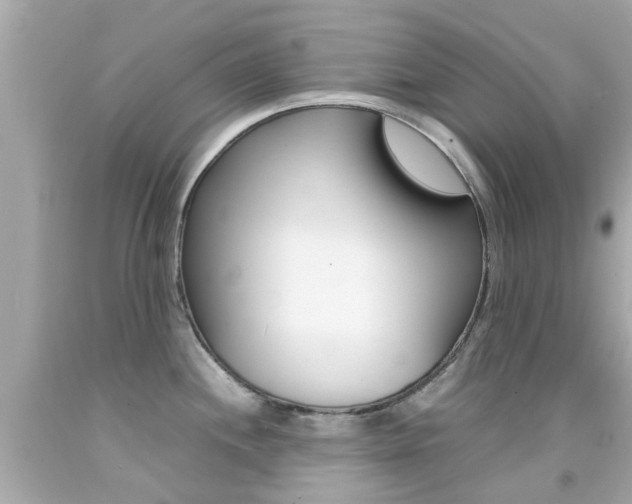 X0000092091244200709121119