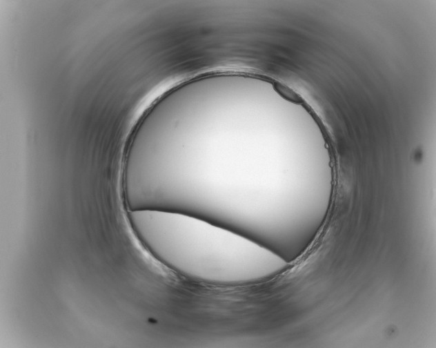 X0000092091245200709121119