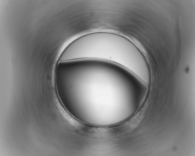 X0000092091246200709121119