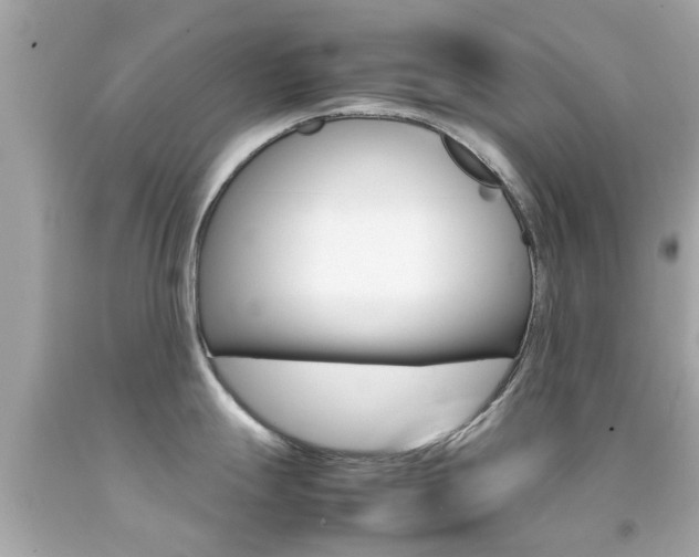 X0000092091247200709121119