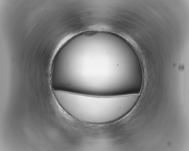 X0000092091248200709121119