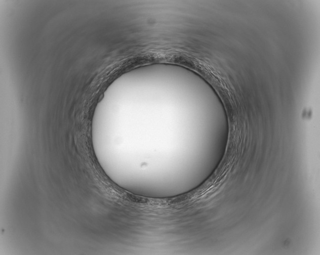 X0000092091249200709121119