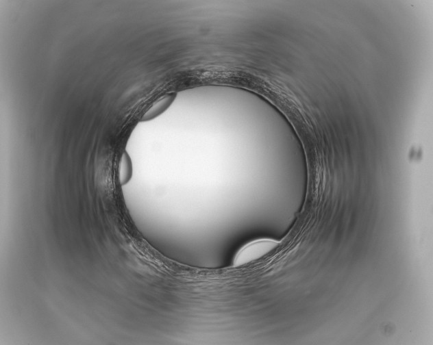 X0000092091250200709121119