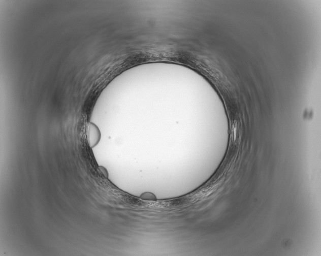 X0000092091251200709121119