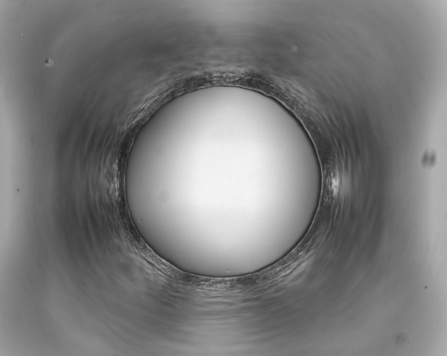 X0000092091252200709121119