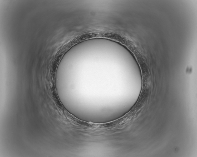 X0000092091253200709121119