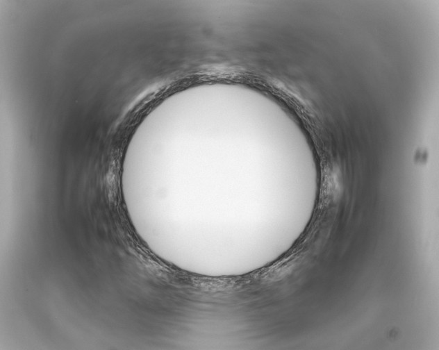 X0000092091254200709121119
