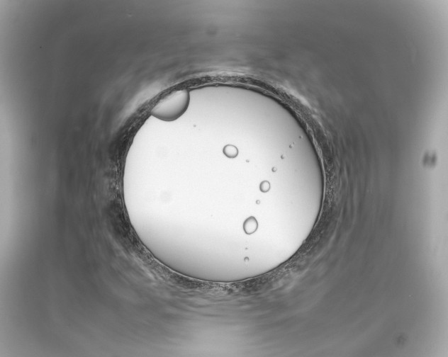 X0000092091255200709121119