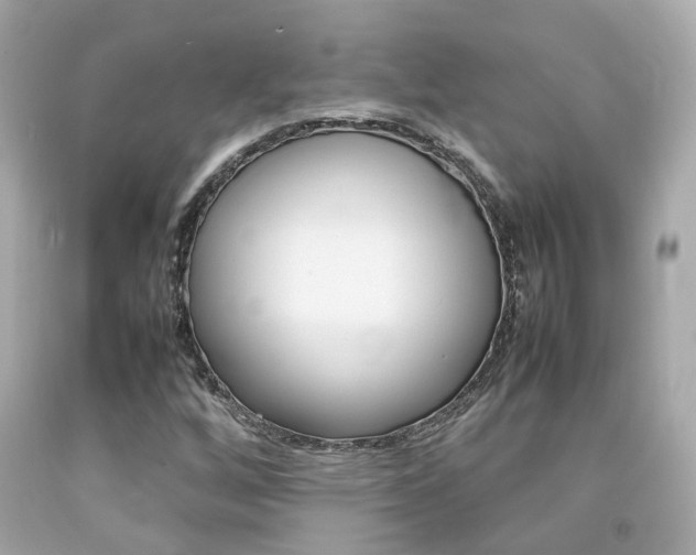 X0000092091256200709121118
