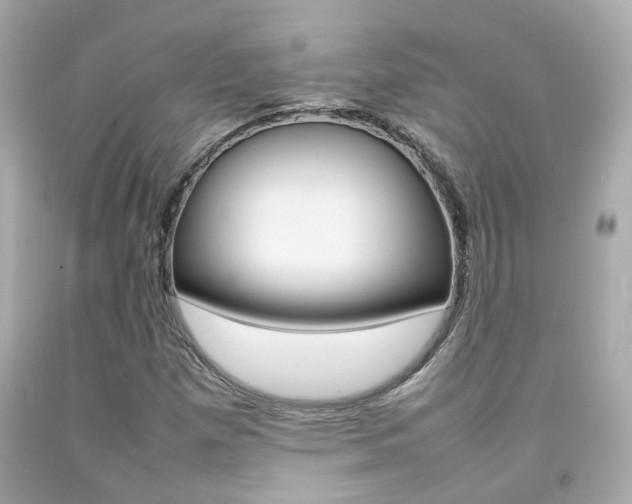 X0000092091257200709121118