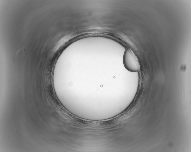 X0000092091259200709121118