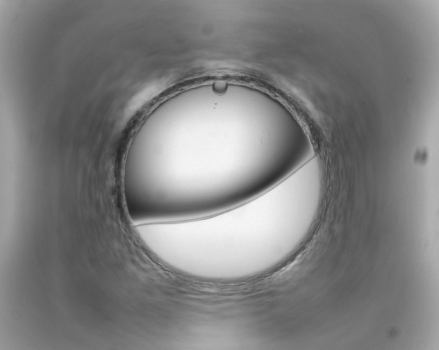X0000092091261200709121118