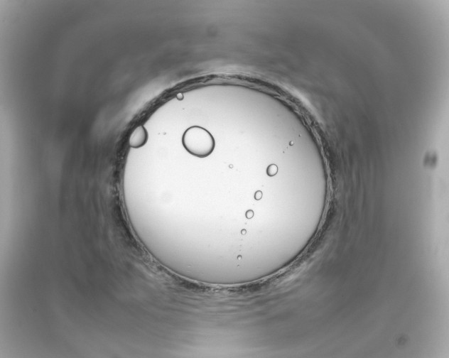 X0000092091263200709121118