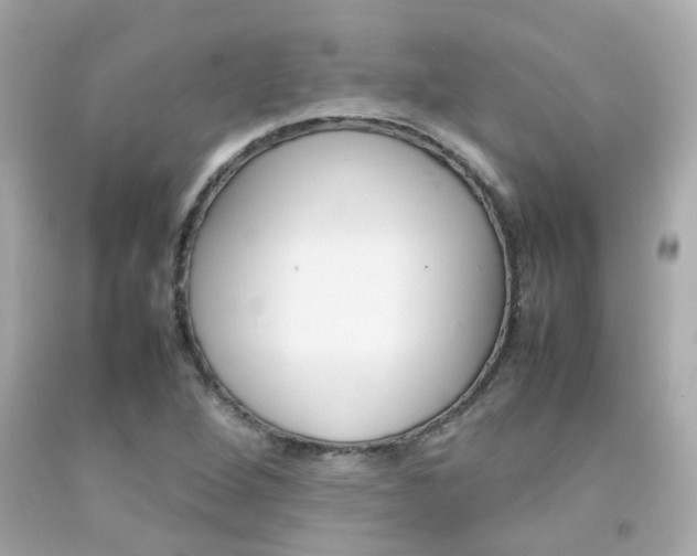X0000092091264200709121118