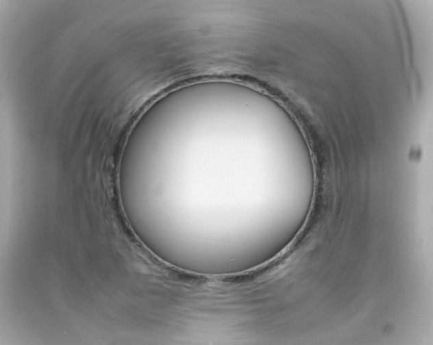 X0000092091265200709121118