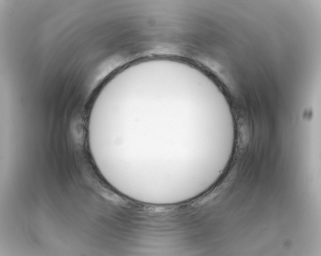 X0000092091266200709121118